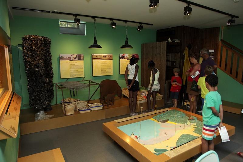 Les hommes, la nature et les paysages de la Baie