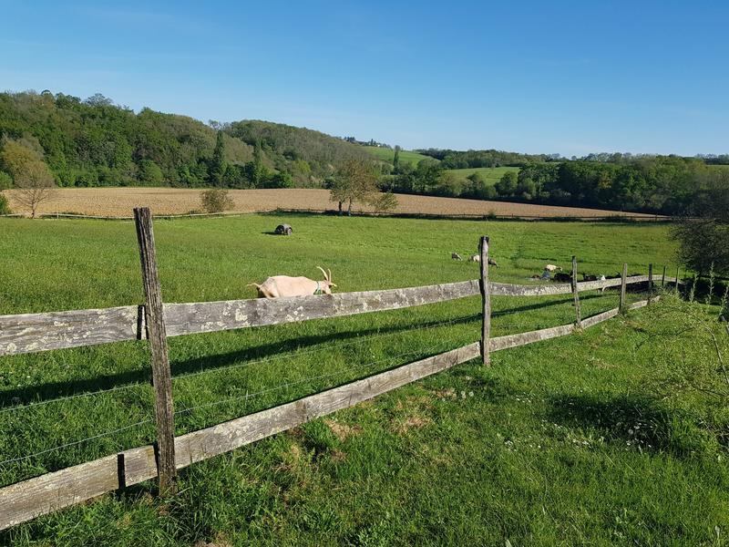 Maison ancienne - 235 m² - 10 pièces