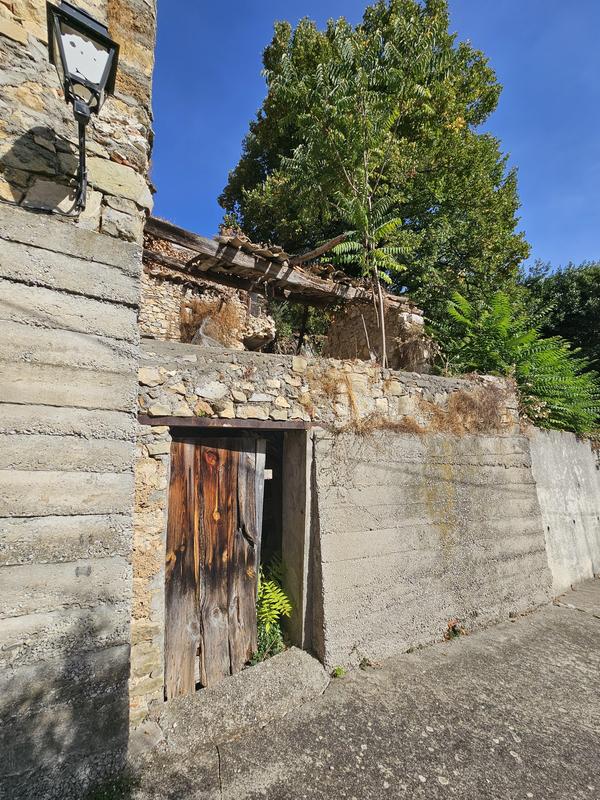 Terrain - 76 779 m²