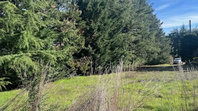 Terrain constructible - 1 378 m²