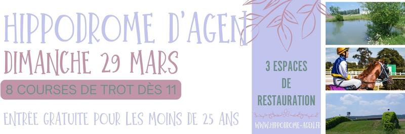 Sport &amp; spectacle équestre + restaurant panoramique