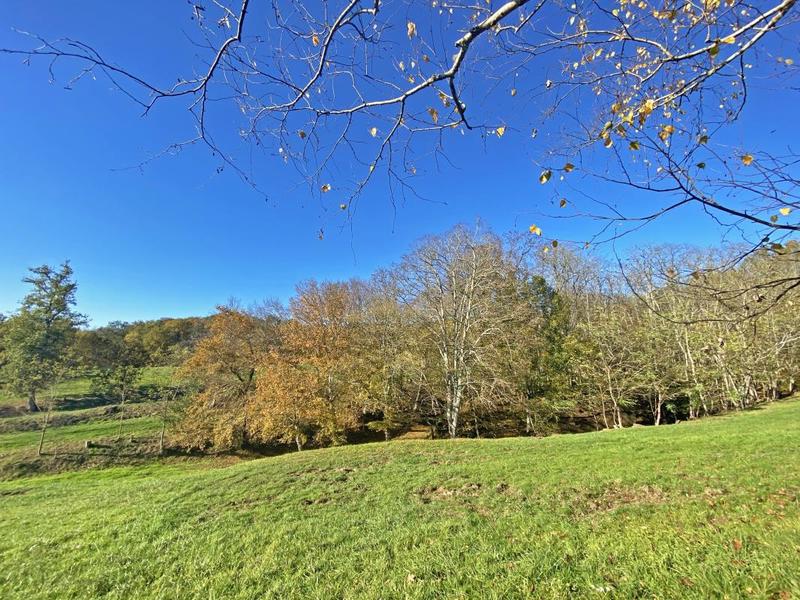 Propriété - 235 m² - 6 pièces