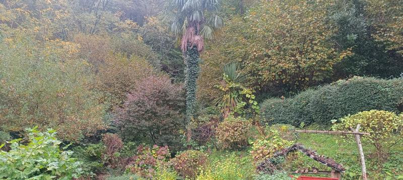 Maison - 270 m² - 10 pièces