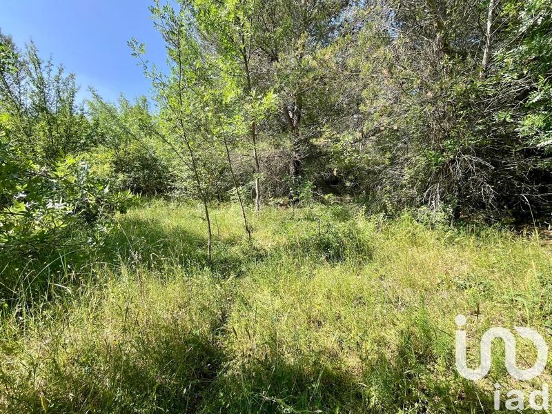 Terrain agricole - 12 527 m²