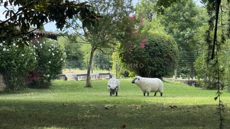 Propriété - 300 m² - 8 pièces