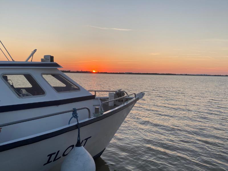 Croisière du dimanche sur l'estuaire à Terres d'Oiseaux