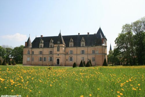 Château de Fléville
