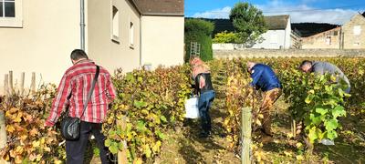 Sur les Pas du Vigneron