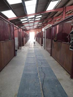 Maison de domaine équestre - 165 m² - 7 pièces