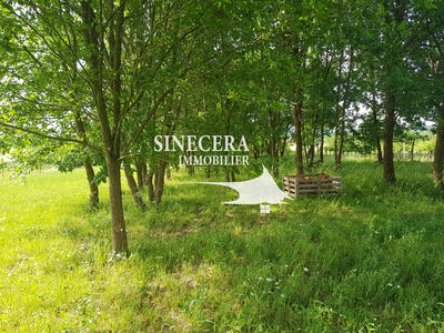 Maison - 205 m² - 6 pièces