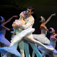 Le Lac des Cygnes - Ballet Classique International