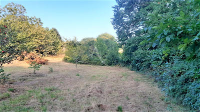 Terrain - 1 343 m²