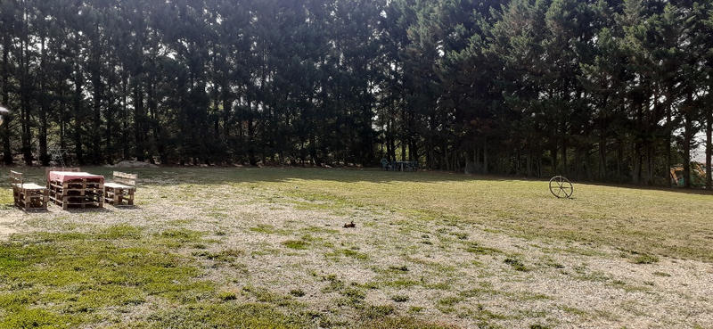 Maison - 260 m² - 5 pièces