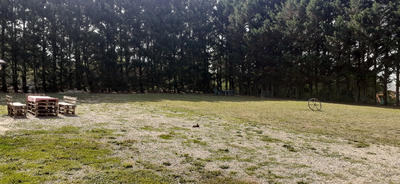 Maison - 260 m² - 5 pièces