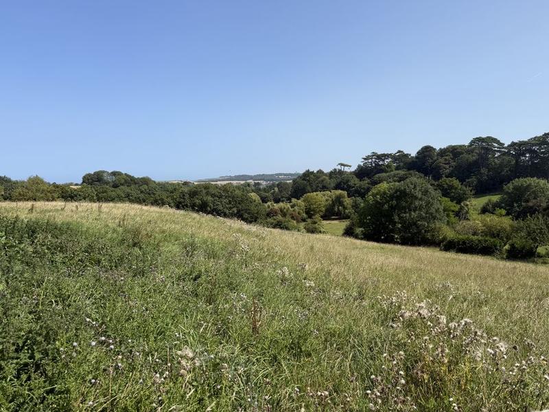 Terrain constructible