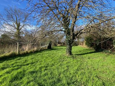 Maison ancienne - 188 m² - 9 pièces