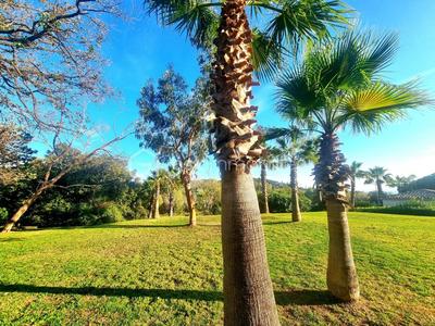 Studio - 28 m² - 1 pièce