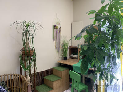 Fonds de commerce - Magasins - 75 m²