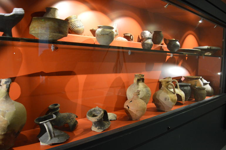 Les dimanches découverte du Musée du lac avec un médiateur