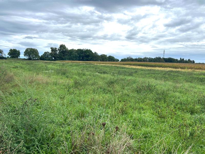 Terrain constructible - 446 m²