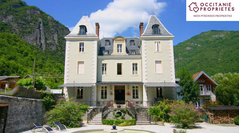 Château - 810 m² - 11 pièces