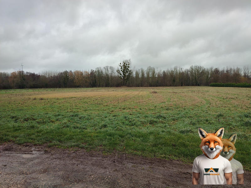 Terrain agricole - 16 987 m²