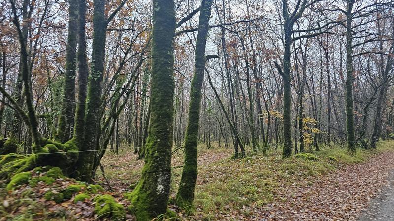 Terrain - 29 858 m²