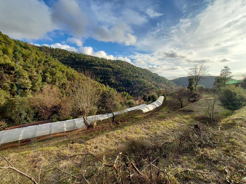 Maison - 124 m² - 5 pièces