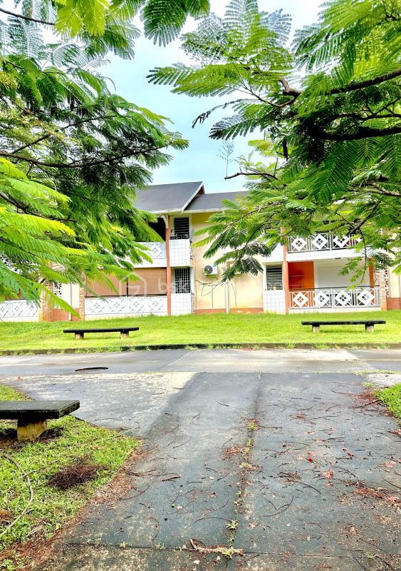 Appartement - 55 m² - 2 pièces