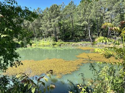 Propriété - 430 m² - 20 pièces