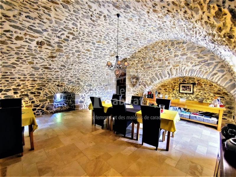 Château - 450 m² - 12 pièces