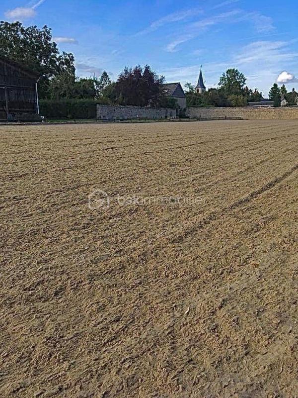 Maison de domaine équestre - 175 m² - 8 pièces