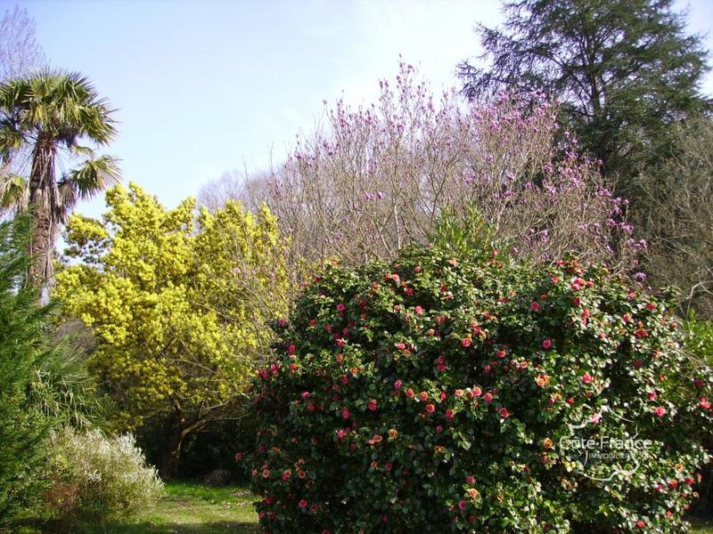 Propriété - 495 m² - 16 pièces