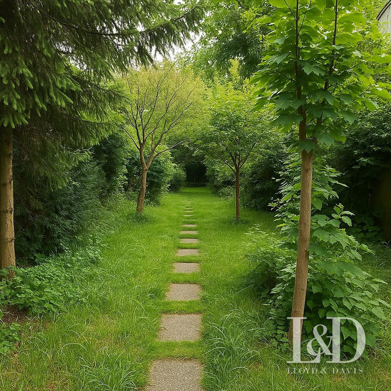 Viager - Maison - 80 m² - 4 pièces