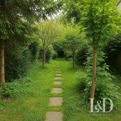 Viager - Maison - 80 m² - 4 pièces