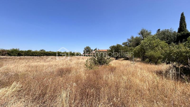 Mas - 185 m² - 4 pièces