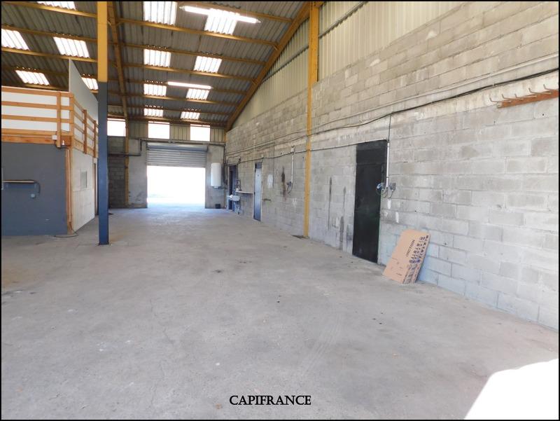 Bureau - 280 m² - 5 pièces