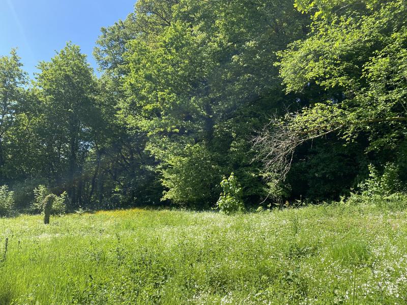 Maison ancienne - 125 m² - 6 pièces