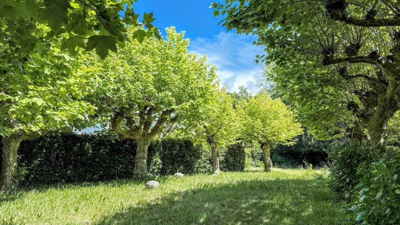 Propriété - 225 m² - 8 pièces