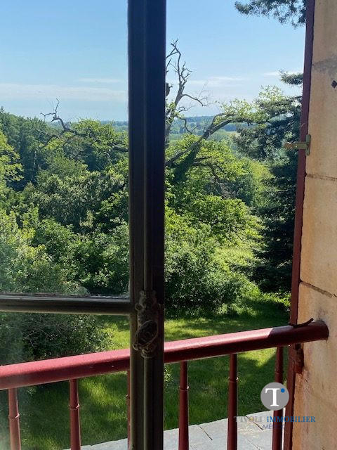 Maison ancienne - 700 m² - 14 pièces