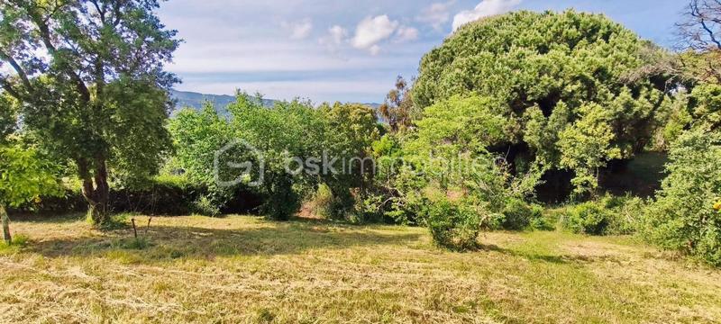 Terrain constructible - 2 862 m²