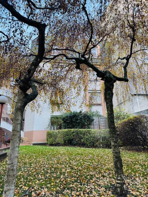 Duplex - 99 m² - 5 pièces