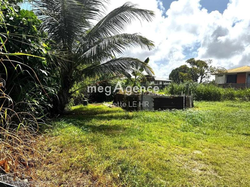 Terrain constructible - 1 977 m²