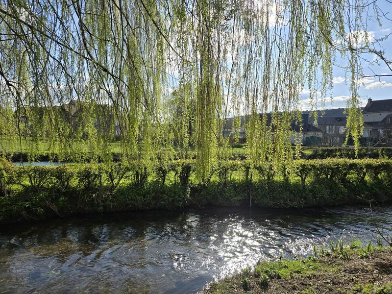 Appartement - 54 m² - 2 pièces