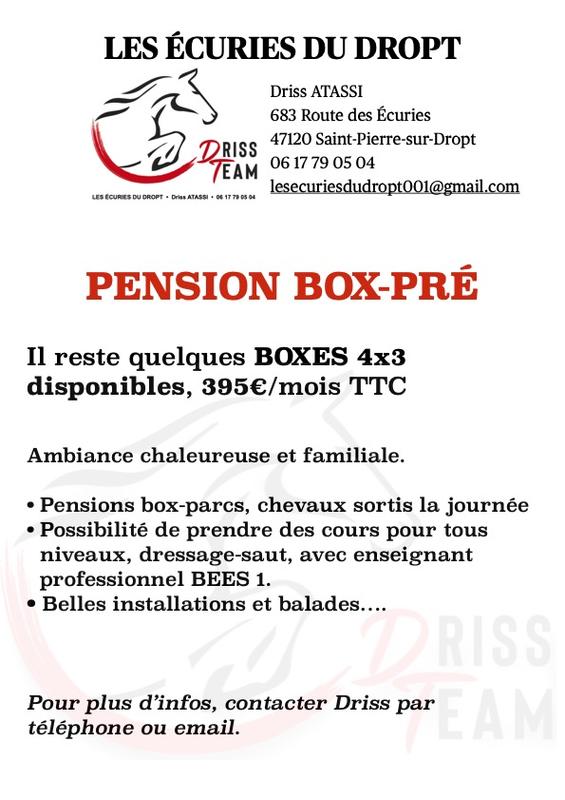 Box-pré aux Ecuries du Dropt