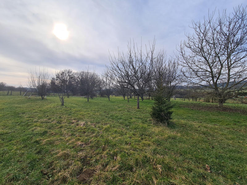 Maison - 270 m² - 1 pièce