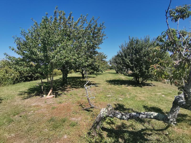 Maison - 197 m² - 7 pièces