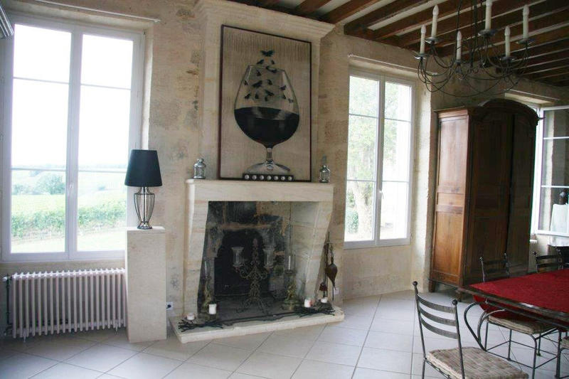 Château - 288 m² - 8 pièces