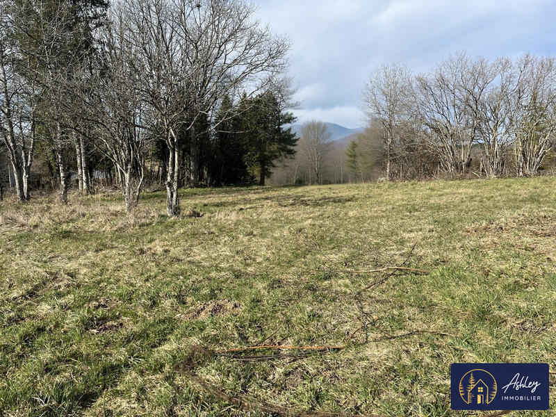 Maison ancienne - 80 m² - 3 pièces