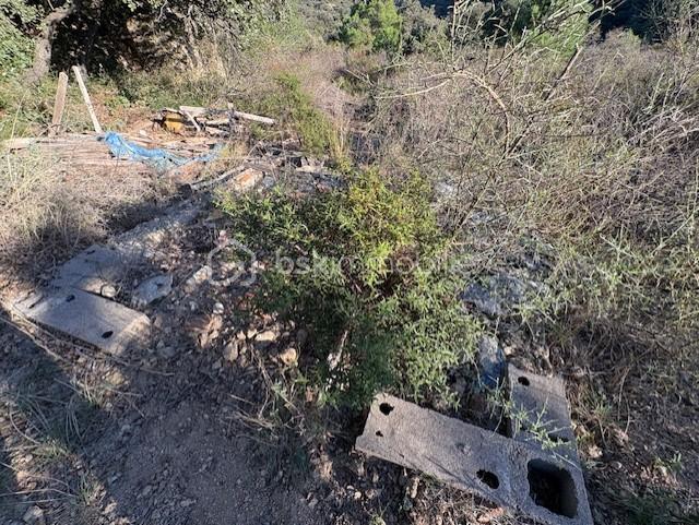 Terrain agricole - 10 160 m²